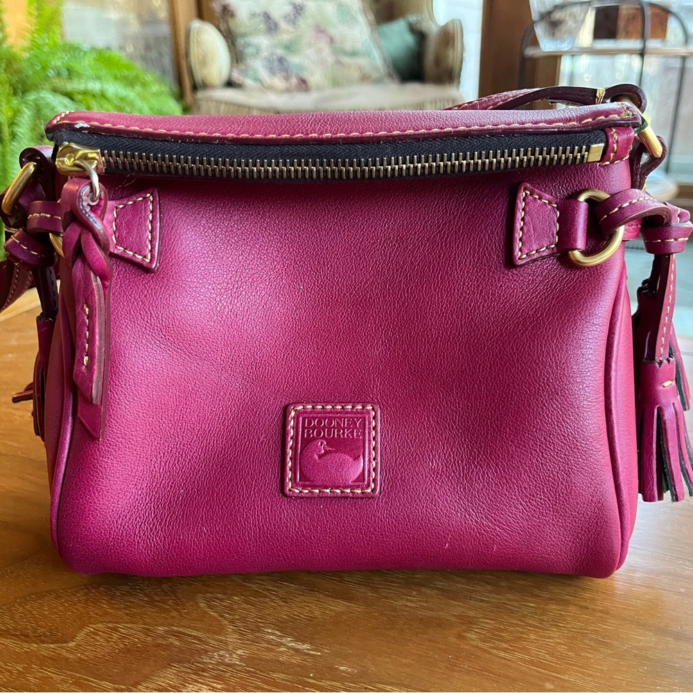 Small florentine leather Dooney and Bourke crossbody bag. Very good condition.